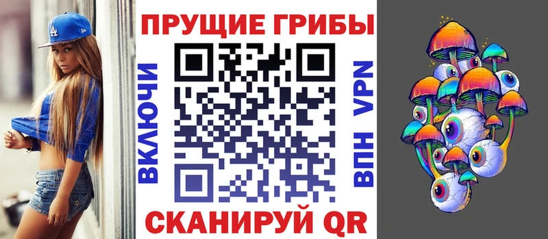 Псилоцибиновые грибы Magic Shrooms где продают Новоалтайск