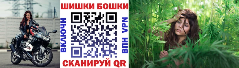 Бошки марихуана индика  где купить   Новоалтайск 